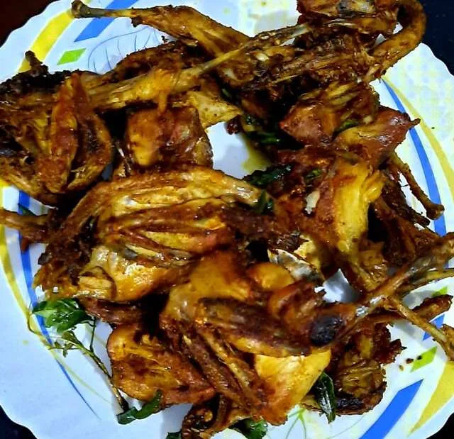 Quail Fry